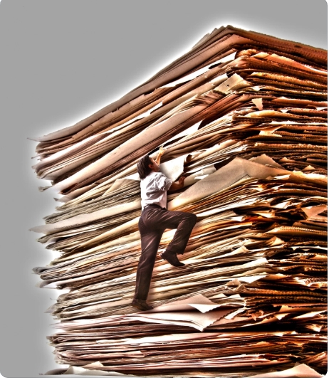 Capture d’écran_6-11-2025_91847_www.canva.com