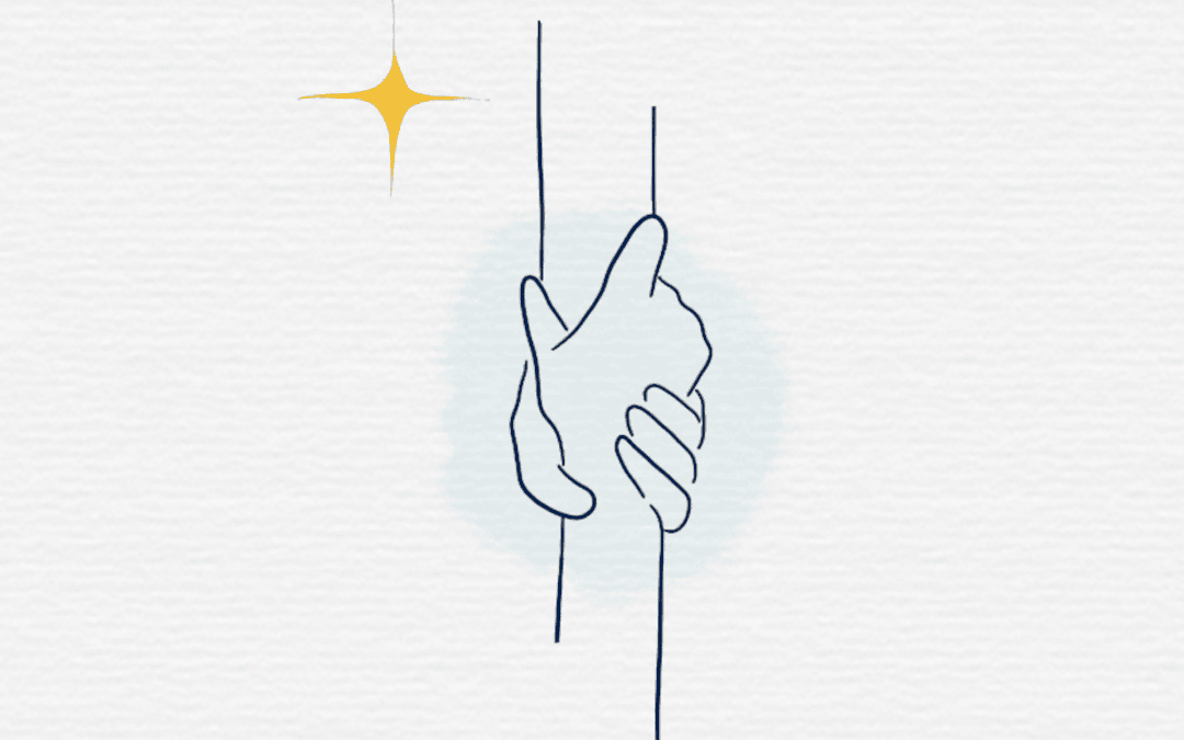 Soutien pour la transparence à venir